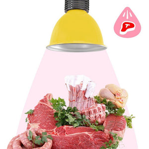 Campana LED 30W especial para carnicerías - Barcelona Led-