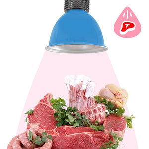 Campana LED 30W especial para carnicerías - Barcelona Led-