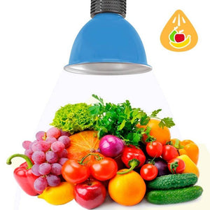 Campana LED 30W especial para fruterías y verdulerías - Barcelona Led-