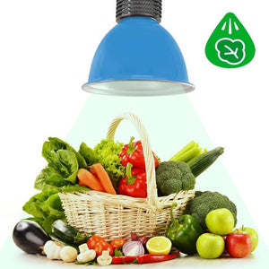 Campana LED 30W especial para Verdulerías (12)
