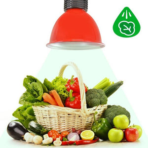 Campana LED 30W especial para Verdulerías (17)