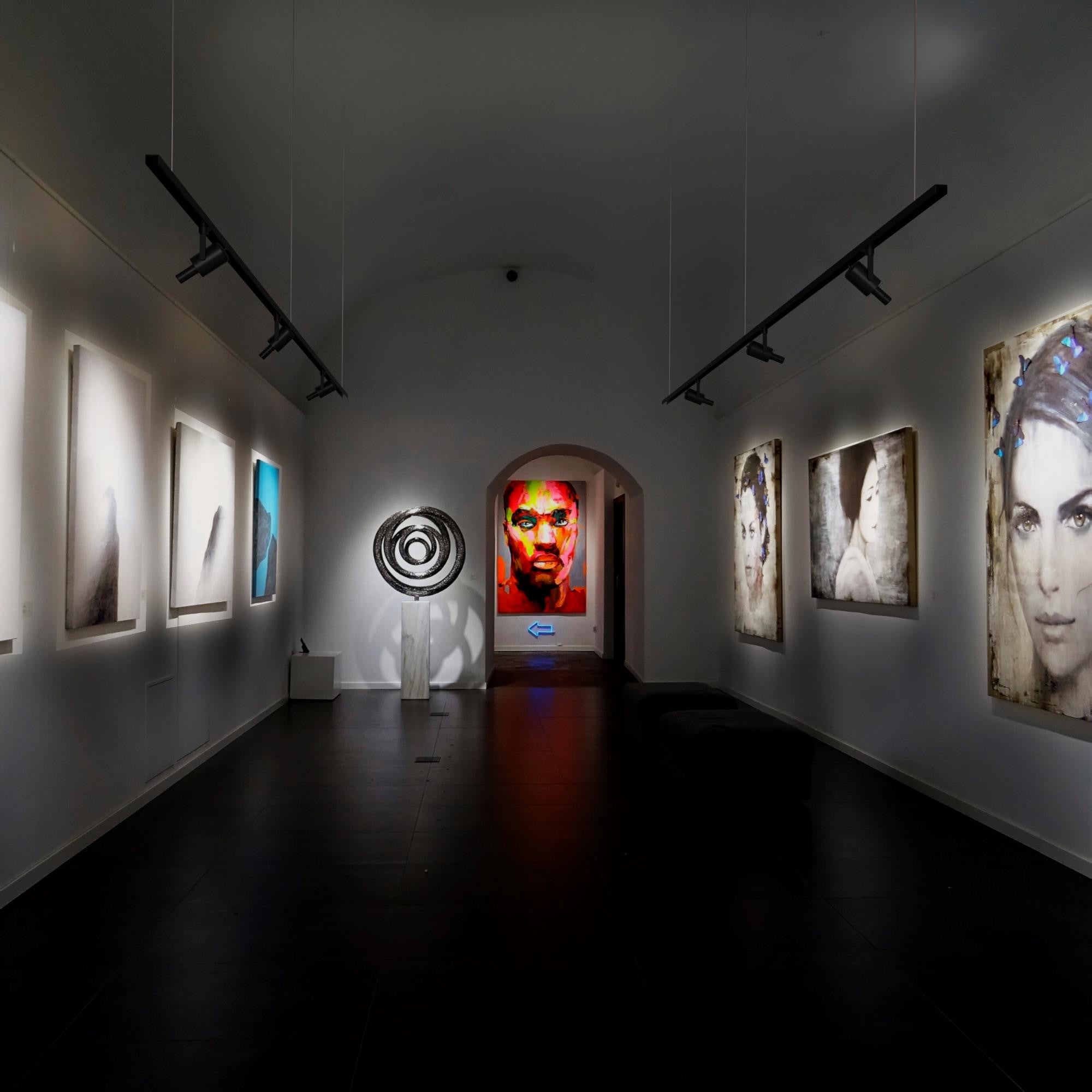 Proyector shapeable para carril trifásico - 10W - 20º-35 (1)