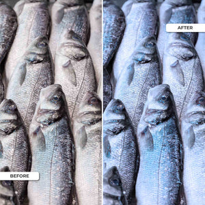 Downlight LED especial para pescaderías - 40W - Driver Philips - Corte Ø210 mm (15)