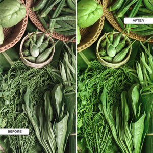 Downlight LED especial para frutas y verduras - 40W - Driver Philips - Corte Ø210 mm (4)