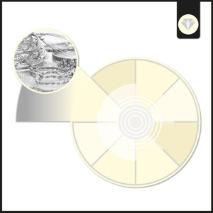 Downlight LED especial para joyerías - 40W - Driver Philips - Corte Ø210 mm (12)