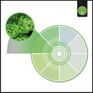 Downlight LED especial para frutas y verduras - 40W - Driver Philips - Corte Ø210 mm (20)