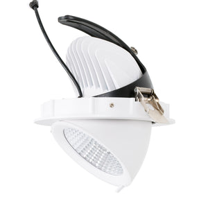 Downlight LED basculante empotrable - Chip especial para pescaderías - 40W (10)