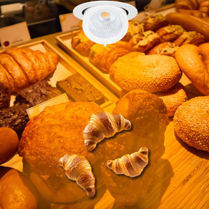 Downlight LED basculante empotrable - Chip especial para comercios - 40W (53)