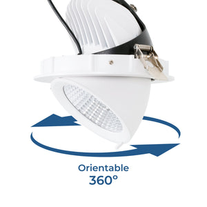 Downlight LED basculante empotrable - Chip especial para pescaderías - 40W (14)
