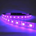 Tira de LED 12V-DC 72W 10mm multicolor RGB IP67 (SMD5050 60ch/m) Rollo 5 metros 2
