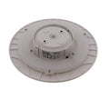 Circular wall light