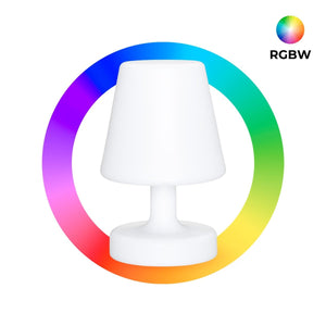 Lámpara luminosa LED RGBW - 6W - Recargable (2)