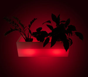 Macetero rectangular LED RGBW - 24W - Recargable - Mando a distancia (11)