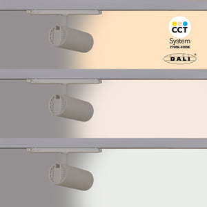 Proyector LED para carril trifásico 20W - DALI - CCT - CRI90 - Chip OSRAM (45)