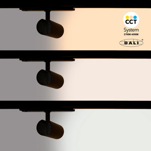 Proyector LED para carril trifásico 20W - DALI - CCT - CRI90 - Chip OSRAM (46)