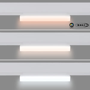 Foco lineal opal orientable carril magnético 48V CCT - 12W - Regulación DALI-2 (27)