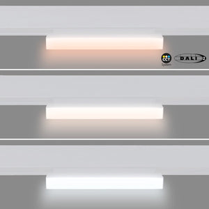 Foco lineal opal orientable carril magnético 48V CCT - 12W - Regulación DALI-2 - Barcelona Led-