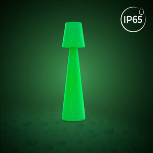 Lámpara de pie LED RGBW - 64W - Recargable - 120 cm (10)