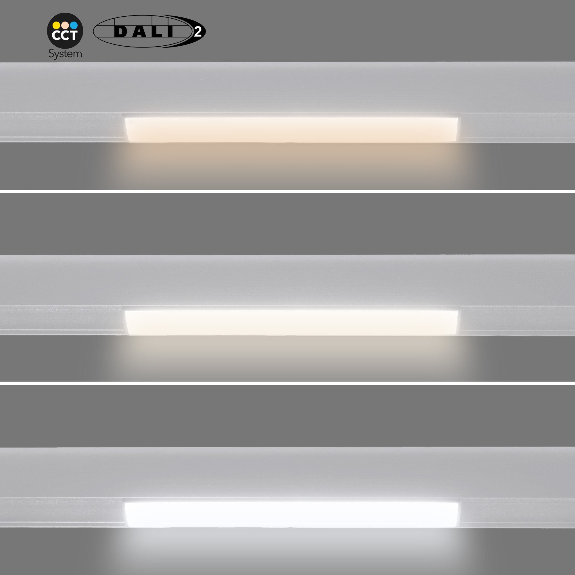 Foco lineal opal para carril magnético 48V CCT - 12W - DALI-2 regulable (1)