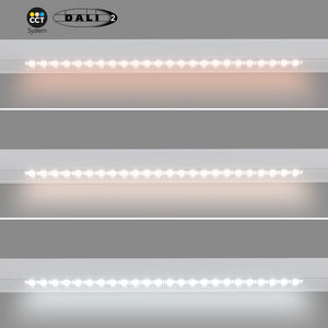 Foco lineal para carril magnético 48V CCT - 20W - Regulación DALI-2 - UGR18 (30)
