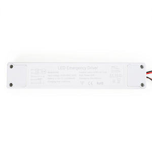 Driver LED para emergencia - Salida 3-20W - 2h autonomía - Luz 3-20W (6)