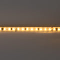 LED Strip 220V AC - Monocolor - 8W/m - 10mm - IP65 - 10 meters - 120ch/m 5