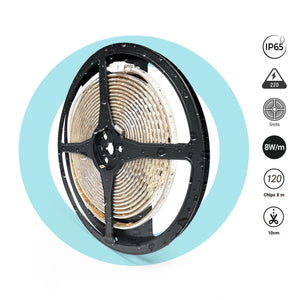 Tira LED 220V AC - Monocolor - 8W/m - 10mm - IP65 - 5 metros - 120ch/m (26)
