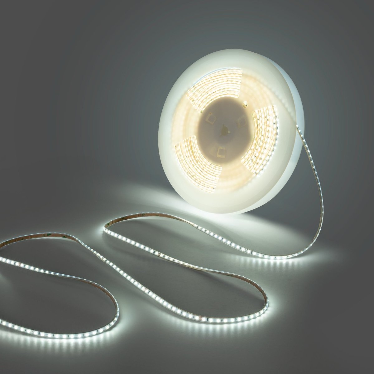 Tira LED 220V AC - Monocolor - 8W/m - 6.5mm - IP44 - 20 metros - 120ch/m - Barcelona Led-