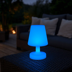 Lámpara luminosa LED RGBW - 6W - Recargable (22)