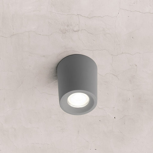 Ceiling light
