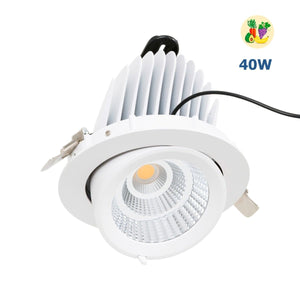 Downlight LED basculante empotrable - Chip especial para comercios - 40W - Barcelona Led-