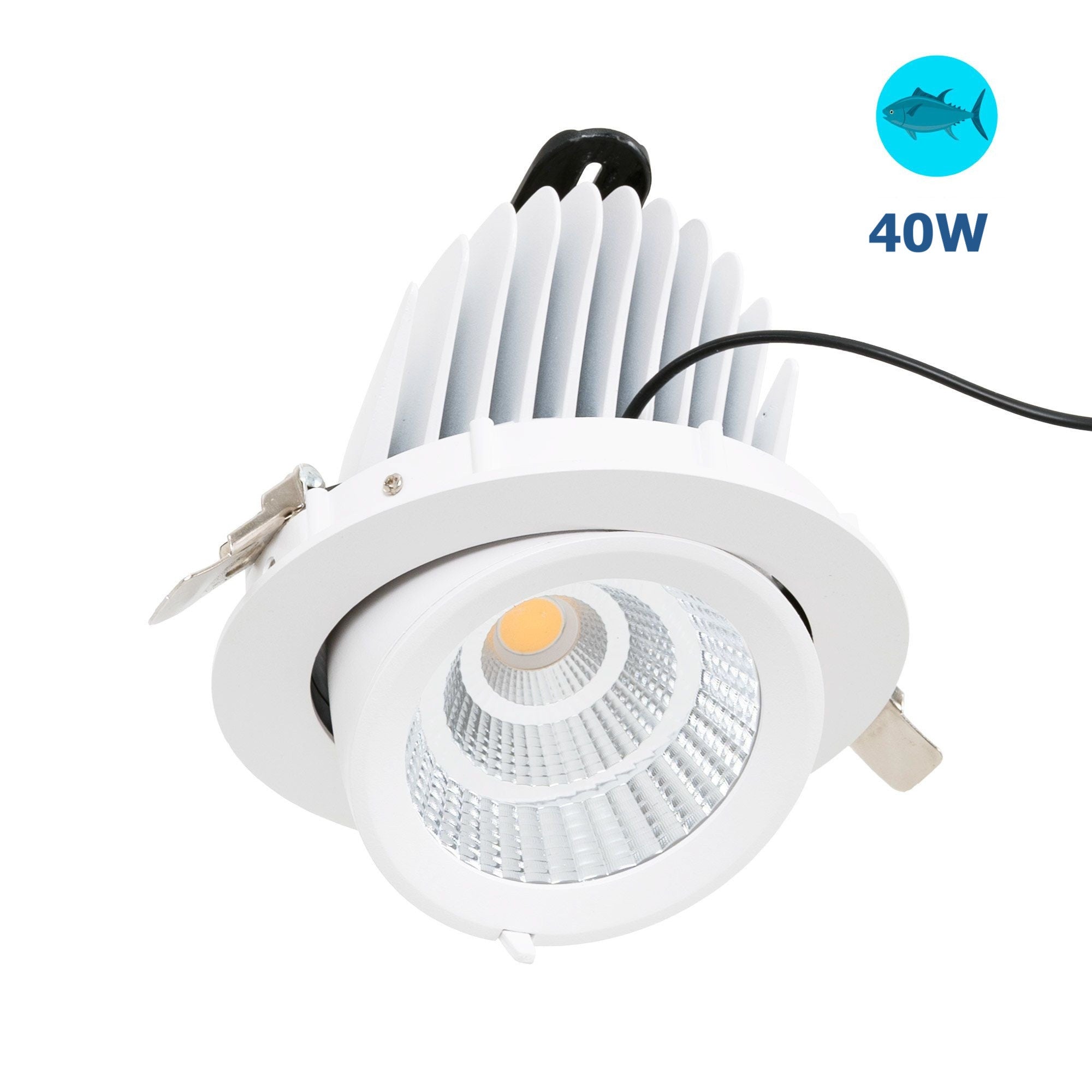 Downlight LED basculante empotrable - Chip especial para pescaderías - 40W