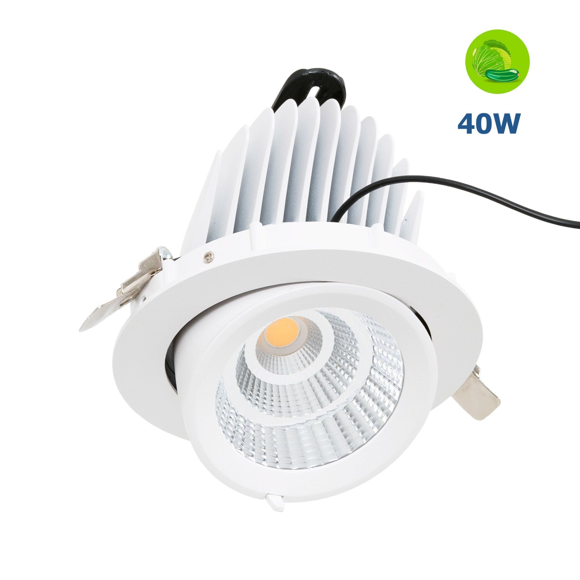 Downlight LED basculante empotrable - Chip especial para verduras - 40W