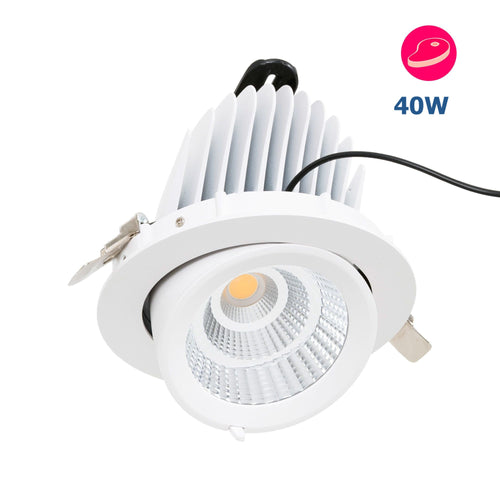 Downlight LED orientabile incassato - Chip speciale per negozi - 40W