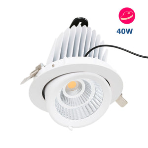 Downlight LED basculante empotrable - Chip especial para comercios - 40W