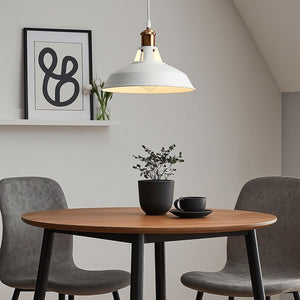 Lámpara industrial retro colgante "MANACOR" con cúpula de metal - Barcelona Led-Decoración