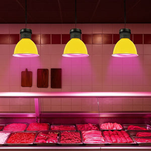 Campana LED 30W especial para carnicerías - Barcelona Led-