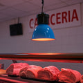 Okap LED 30W specjalny dla masarni 4