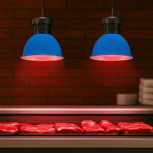 Campana LED 30W especial para carnicerías - Barcelona Led-