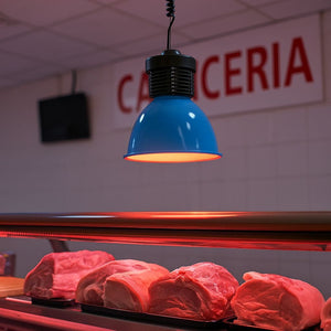 Campana LED 30W especial para carnicerías - Barcelona Led-