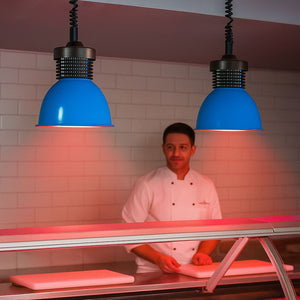 Campana LED 30W especial para carnicerías (28)