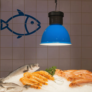 Campana LED 30W especial para pescado y marisco - Barcelona Led-
