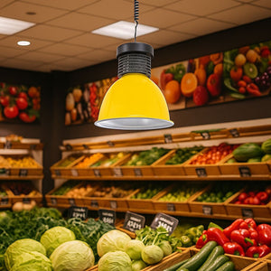 Campana LED 30W especial para Verdulerías (20)