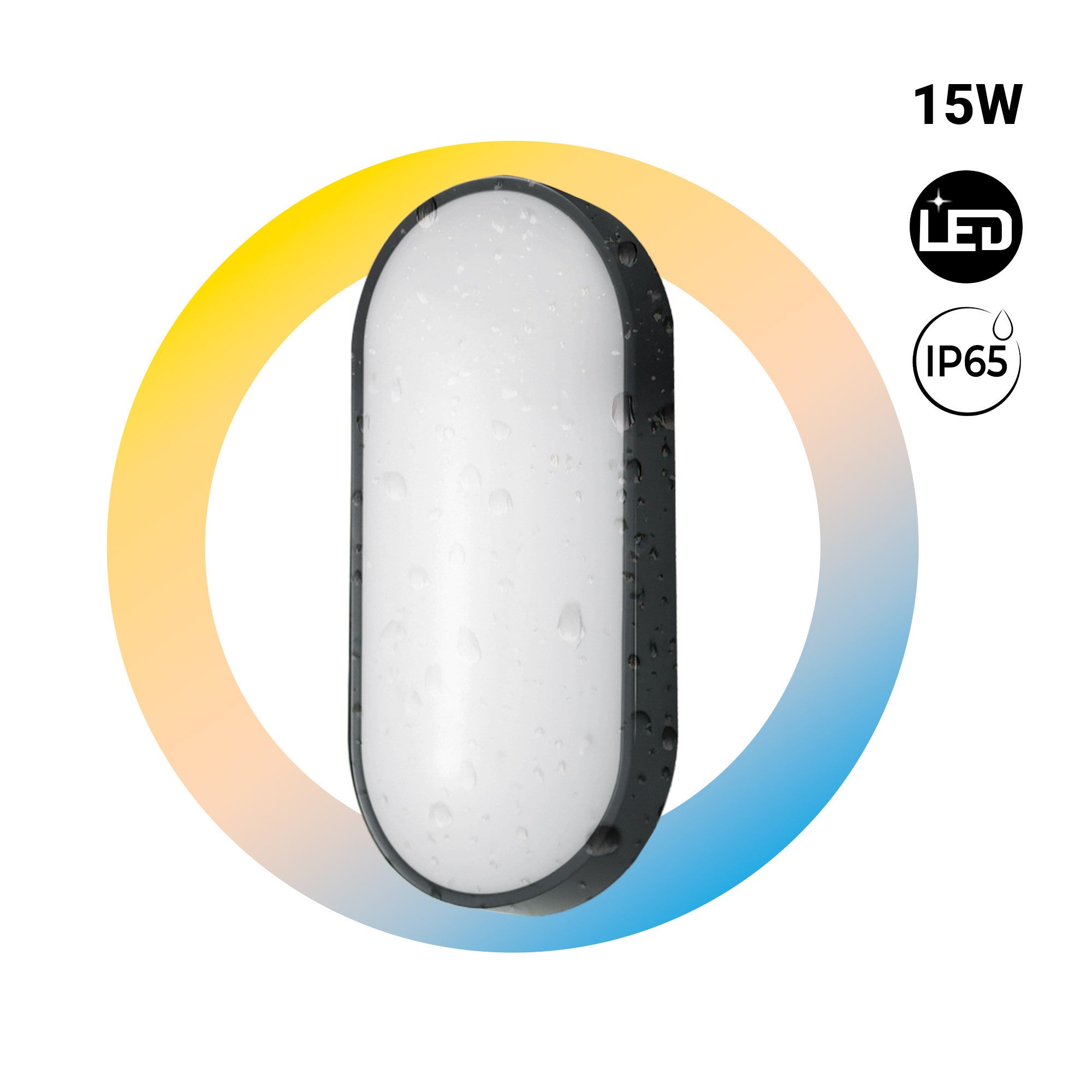 Plafón LED exterior ovalado - 15W - CCT - 1500lm - IP65 (1)