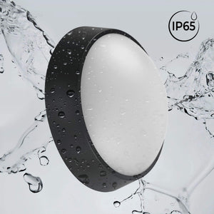 Plafón LED exterior redondo - 20W - CCT - 1800lm - IP65 (2)