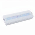SELF TEST LED emergency light - 3W - 250lm - Autonomy 3h 4