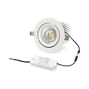Downlight LED basculante empotrable - Chip especial para pescaderías - 40W (16)