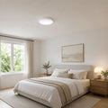 LED ceiling light with remote control - CCT - 23W - CRI80 - IP20 4
