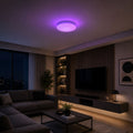 Plafón LED de techo con mando a distancia - RGB + CCT - 23W - CRI80 - IP20 5