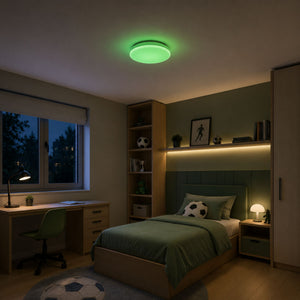 Plafón LED de techo con mando a distancia - RGB + CCT - 23W - CRI80 - IP20 (7)